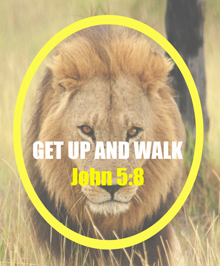 A lion within a yellow circle overlaying the motivational phrase "get up and walk john 5:8.