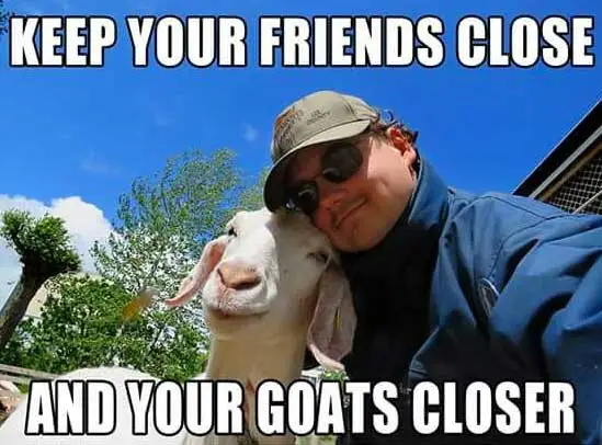 Man taking a selfie with a goat, with text "keep your friends close and your goats closer.