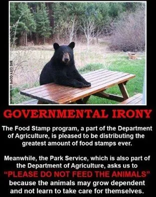 A black bear sitting casually at a picnic table with text highlighting the contrast between government food aid and wildlife feeding policies.