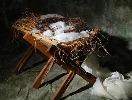 A makeshift nest with twigs and white fabric on a wooden stand against a dark backdrop.