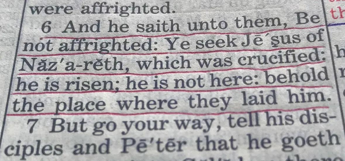 Close-up view of a bible verse with highlighted text.