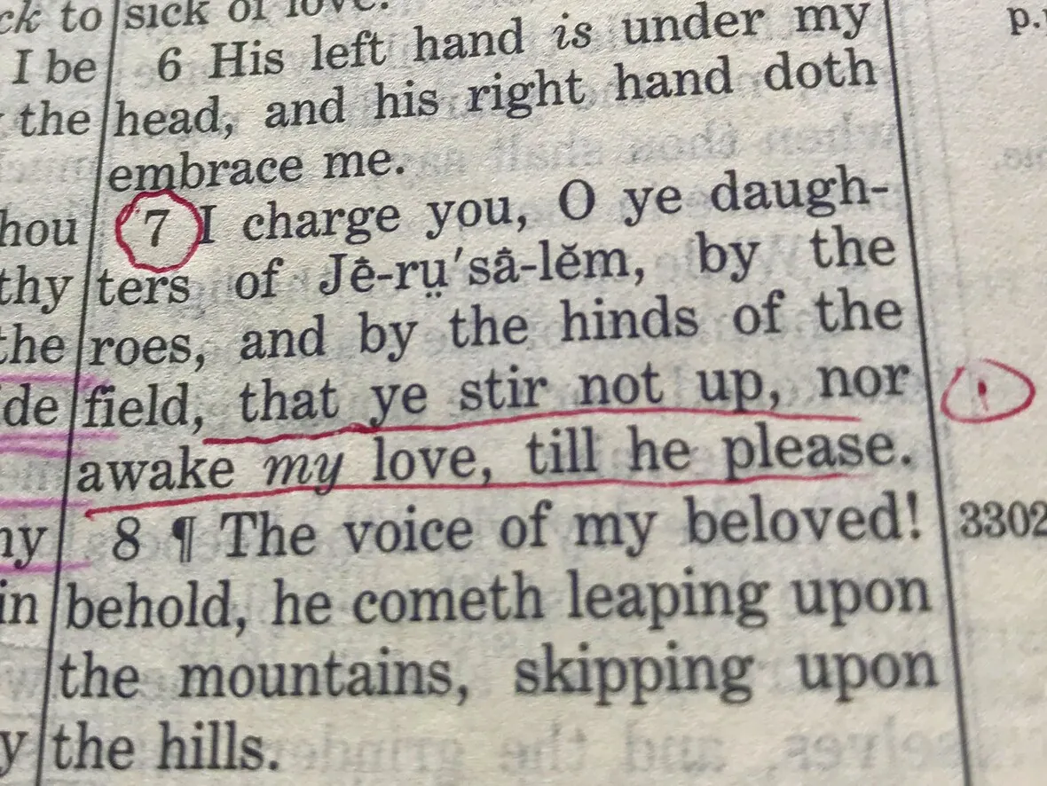 Close-up of a highlighted verse in a bible with handwritten annotations.