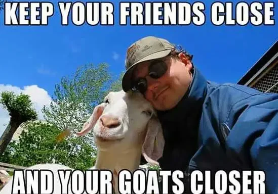 A person and a goat posing closely together under a blue sky with humorous text overlay that says "keep your friends close and your goats closer.