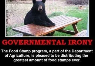 A black bear sitting casually at a picnic table with text highlighting the contrast between government food aid and wildlife feeding policies.