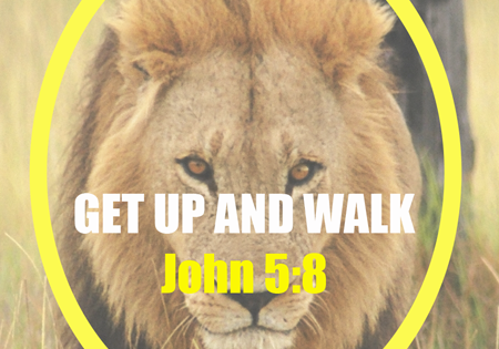 A lion within a yellow circle overlaying the motivational phrase "get up and walk john 5:8.